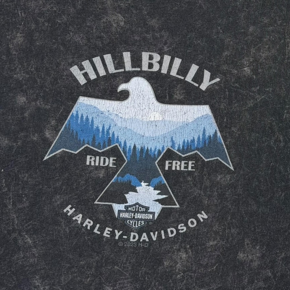 Harley Davidson Hillbilly Tank Mens 3XL Black Gatlinburg TN Biker Tee